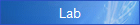 Lab