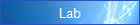 Lab