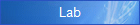 Lab