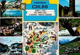 C31LBB