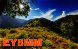 EY8MM