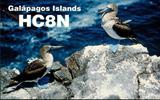 HC8N