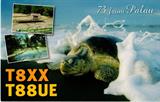 T8XX
