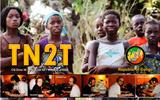 TN2T