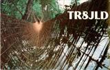 TR8JLD