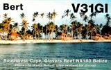 V31GI
